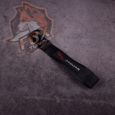 Брелок з карабіном Jaugar