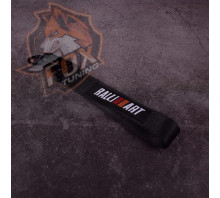 Брелок з карабіном Ralli Art