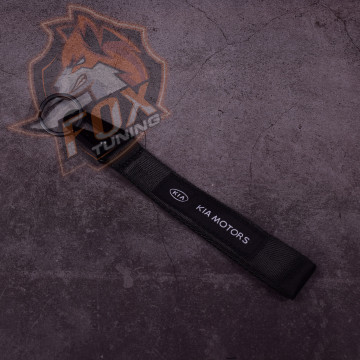 Брелок з карабіном KIA Motors