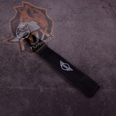 Брелок з карабіном MINI