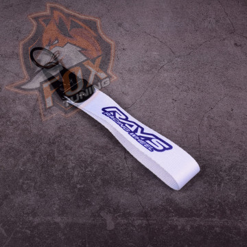 Брелок з карабіном Rays