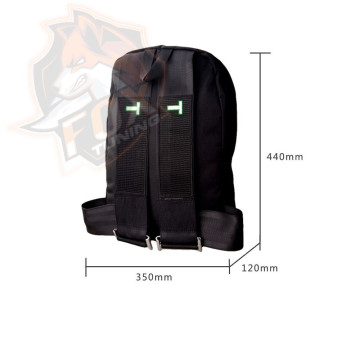 JDM ранець Bride з шлейками Takata (green)