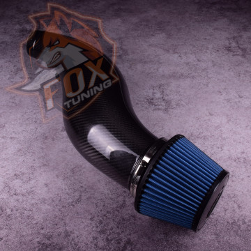 Холодный карбоновый впуск Simota (carbon)