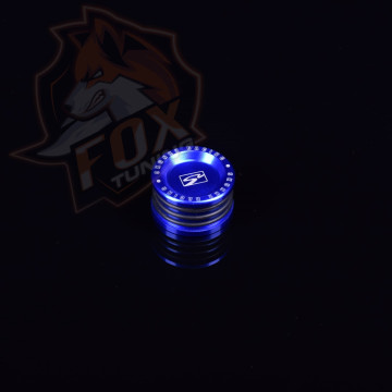 Заглушка розподільчого валу Skunk2