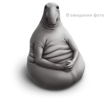 Підсилювач заднього підрамника BWE для Honda Civic 92-95