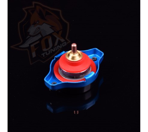 Крышка радиатора с температурным таблом D1 (S) 0.9