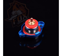 Крышка радиатора с температурным таблом D1 (B) 0.9