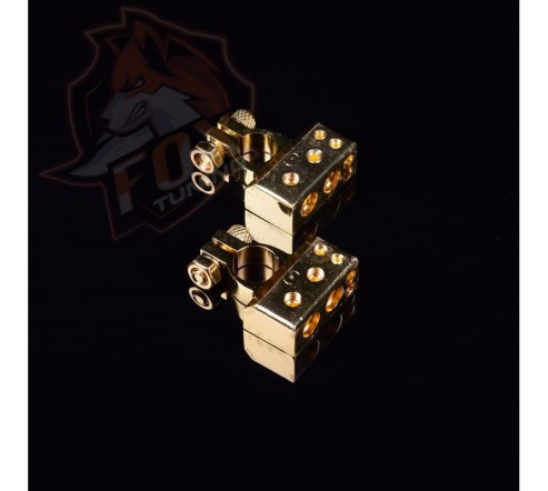 Акумуляторні клеми FT