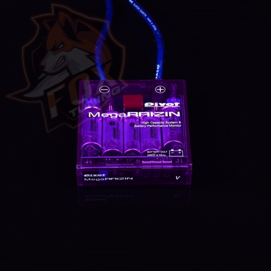 Стабілізатор напруги Pivot Mega Raizin