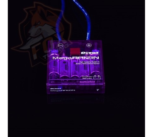 Стабилизатор напряжения Pivot Mega Raizin