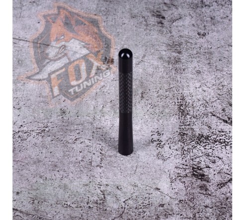 Карбонова універсальна антена FT