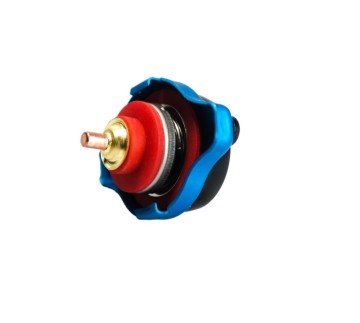 Крышка радиатора с температурным таблом D1 (S)  1.1