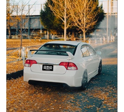 Универсальный пластиковый спойлер FT (B)