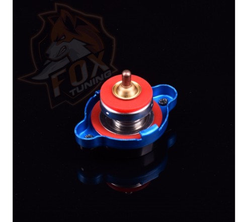 Крышка радиатора с температурным таблом D1 (B)  1.1