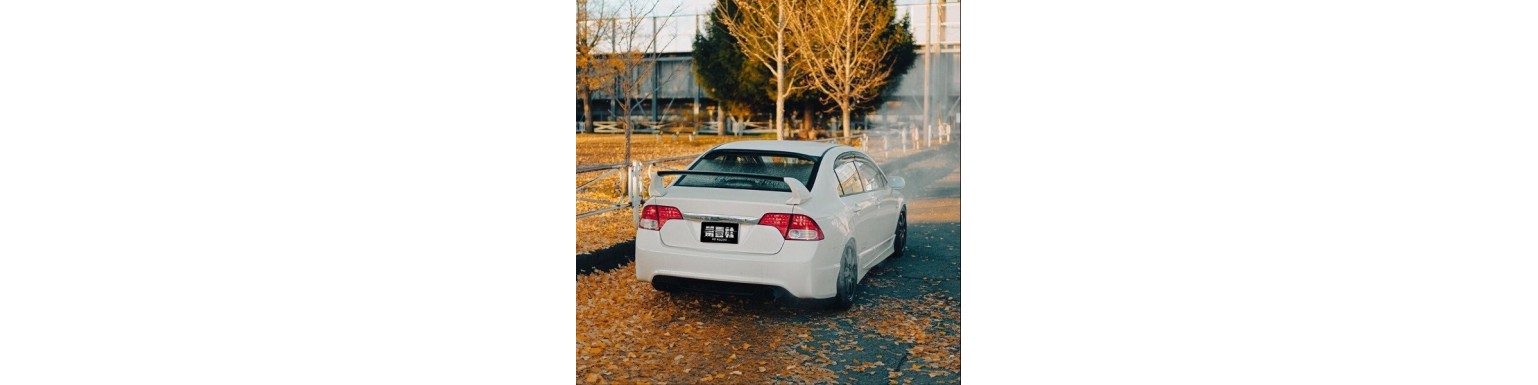 Спойлера и ляды